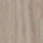 Английский дуб